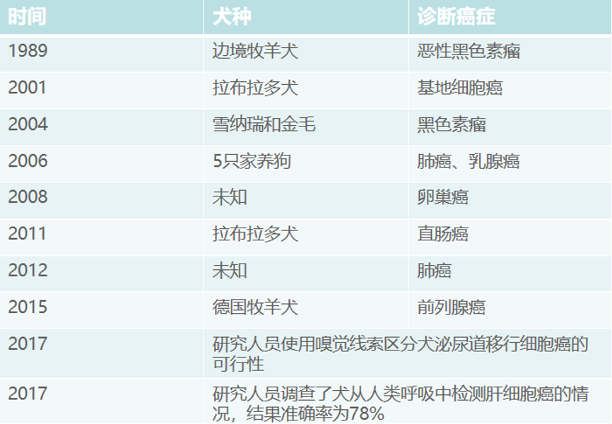 MolarData| 热“AI”身边新鲜事 新鲜趣闻周五见