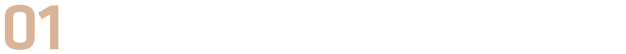 让意念控制物理世界成为可能｜真格精酿·脑科学圆桌派回顾